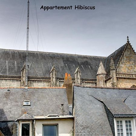 Appartements De Caractere Centre Vannes Eksteriør billede