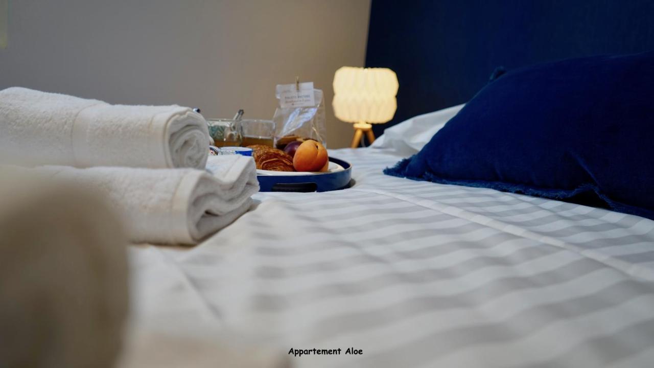 Appartements De Caractere Centre Vannes Eksteriør billede
